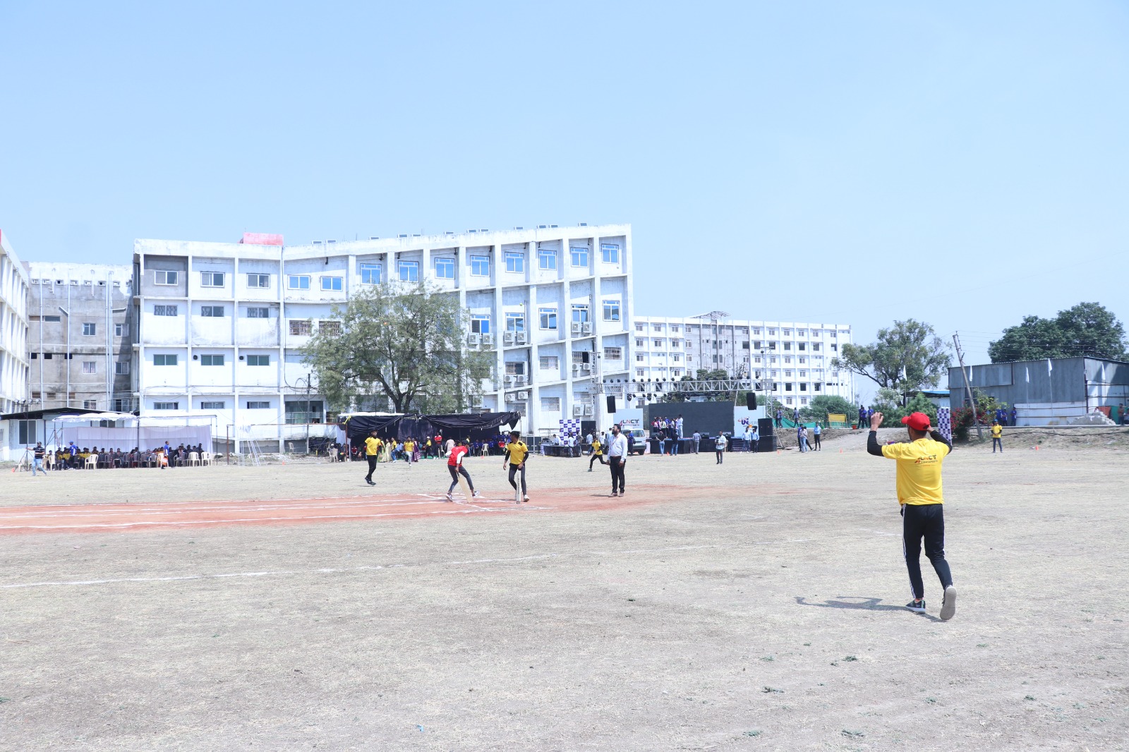 Cricket